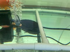 -李连贵熏肉大饼(丰台南路地铁站店)