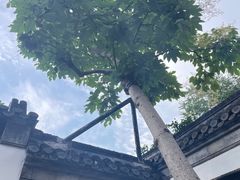 -个园