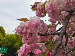 -江南大学(蠡湖校区)