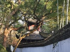 -杭州黄龙洞