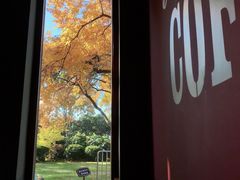 -COSTA COFFEE(西湖天地店)