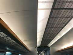 -浦东1号2号航站楼(地铁站)