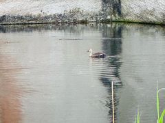 -绍兴东湖风景区