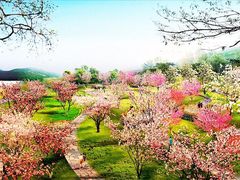 -石家庄市植物园