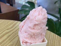 -野人先生Gelato(上海长宁龙之梦店)