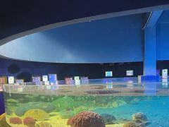 -北戴河圣蓝海洋公园