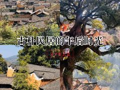 -杨家堂村
