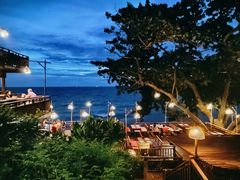 -卷心菜和避孕套餐厅(Pattaya)