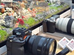 -Sony Store 索尼(上海淮海中路店)