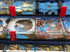 -红月湾海鲜饭店•沙滩海景(双月湾店)