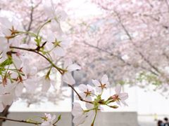 -龙美术馆(西岸馆)