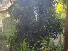 -大妙火锅·非物质文化遗产(东湖公园店)