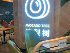 -油梨树AVOCADO TREE(嘉里中心店)