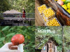 -峡谷浮石林景区