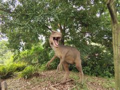 -自贡恐龙博物馆