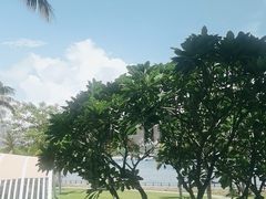 -雾山韩式烤肉·海南糟粕&椰子鸡火锅·海景餐厅(三亚绿发山海天JW万豪酒店)