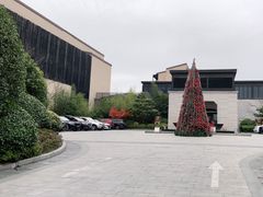 -上海崇明金茂凯悦酒店