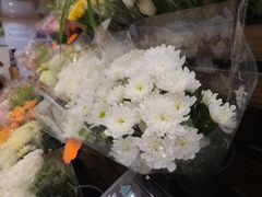 -优衣库(深圳万象天地旗舰店)