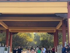 -方山风景区定林寺