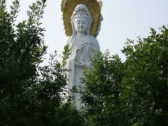 -白洋淀景区