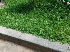 -东风公园