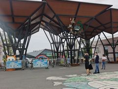 -上海长兴岛郊野公园