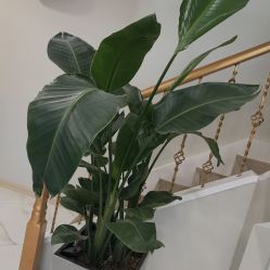 -赫本轻奢美颜中心