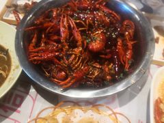 油焖大虾-靓靓蒸虾·头牌蒸虾(南山桂庙店)