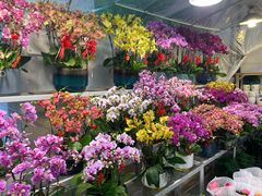 -双季花艺园艺市场(浦东店)