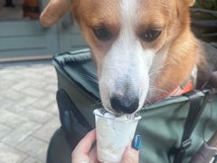 -外婆家(杭州马塍店)