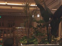 -艺水间水汇