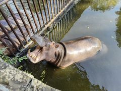 -海南热带野生动植物园
