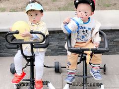 -南翔镇银翔湖公园