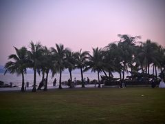 -福田红树林生态公园