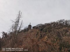 -焦山风景区