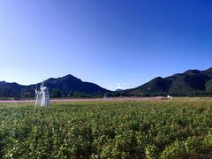 -北京索菲亚花海影视基地