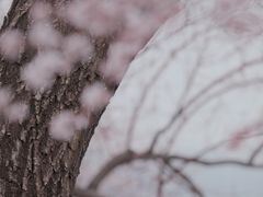 -颐和园