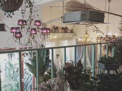 -Jo's Garden
