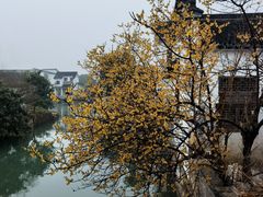-丝绸小镇荻港古村