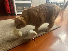 -新荟城(望京店)