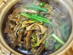 -广宁炭炉鸡煲·富临门饭店