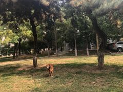 -达爱动物医院·犬猫分区·CT·复杂眼科(远洋山水分院)