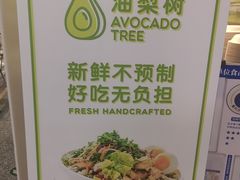 -油梨树AVOCADO TREE(嘉里中心店)