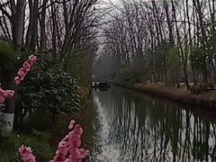 -合肥滨湖国家森林公园