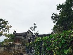 -塔川景区