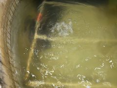 -老东北三江野生大鱼坊(登封店)