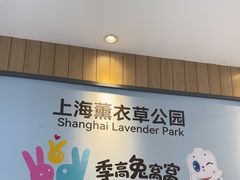 -季高兔窝窝亲子园(上海薰衣草公园店)