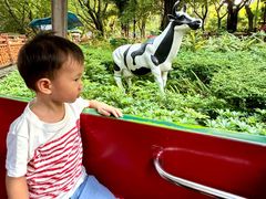 -晓港公园