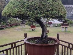 -水绘园