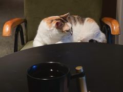 -黑胶星球(华发中城商都店)